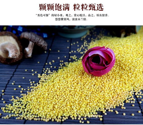 方順 木蘭貢米禮盒600g 3一級小米新米五谷雜糧河北承德特產(chǎn)