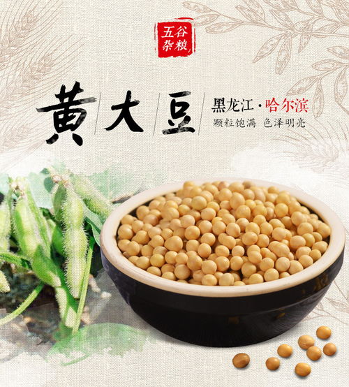 一粒黃豆的千年之旅 東北原產(chǎn)地的舌尖饋贈(zèng)